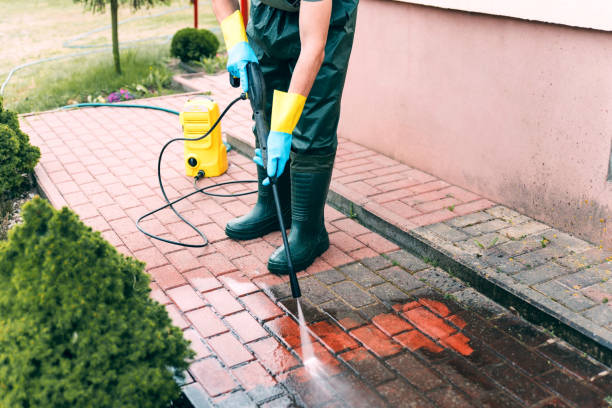 Best Spring Cleaning  in Kingston, NJ